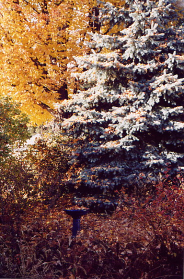 [no more snow]