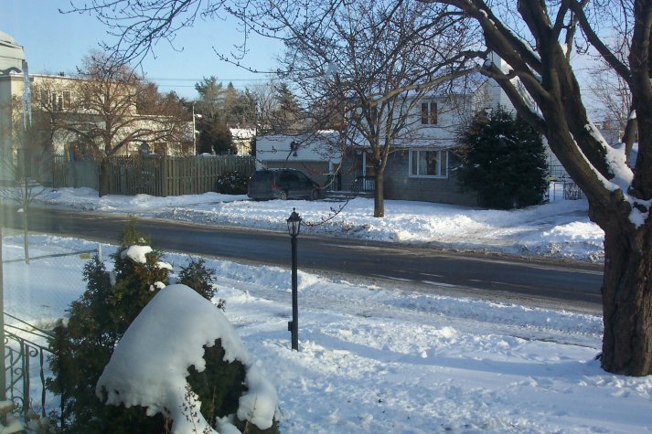 [Snow!]
