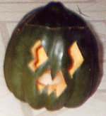 [scared squash]